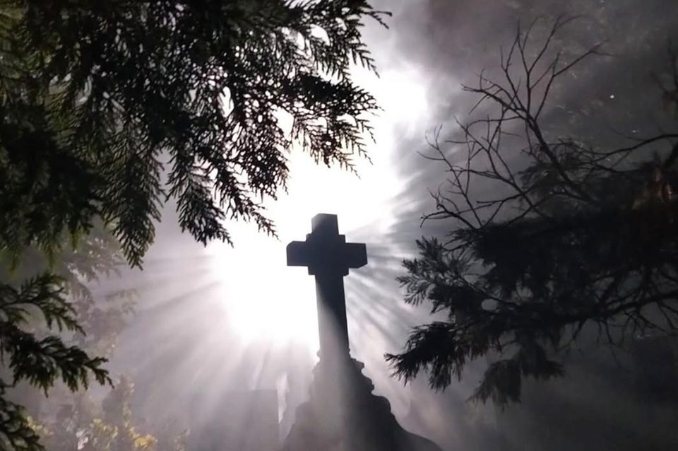Efecto Niebla 3